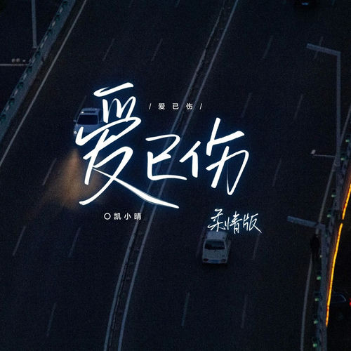 爱已伤 (柔情版)
