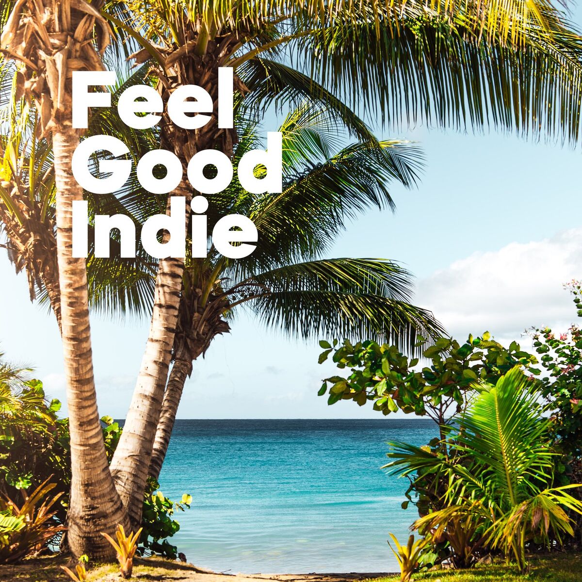 Album cover of Feel Good Indie
