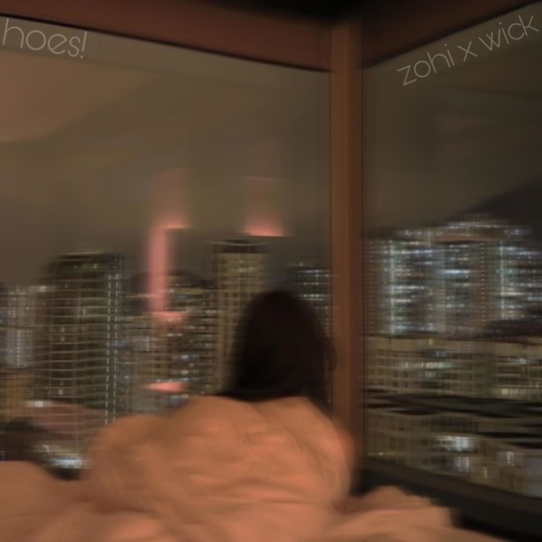 Album cover of hoes !!