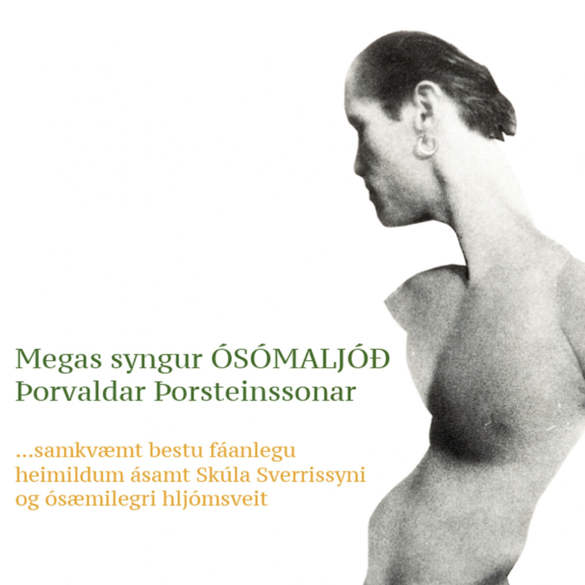 Album cover of Gera eitthvað í þessu