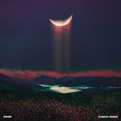 Cover of Grow (feat. Wye Oak) (Icarus Remix)