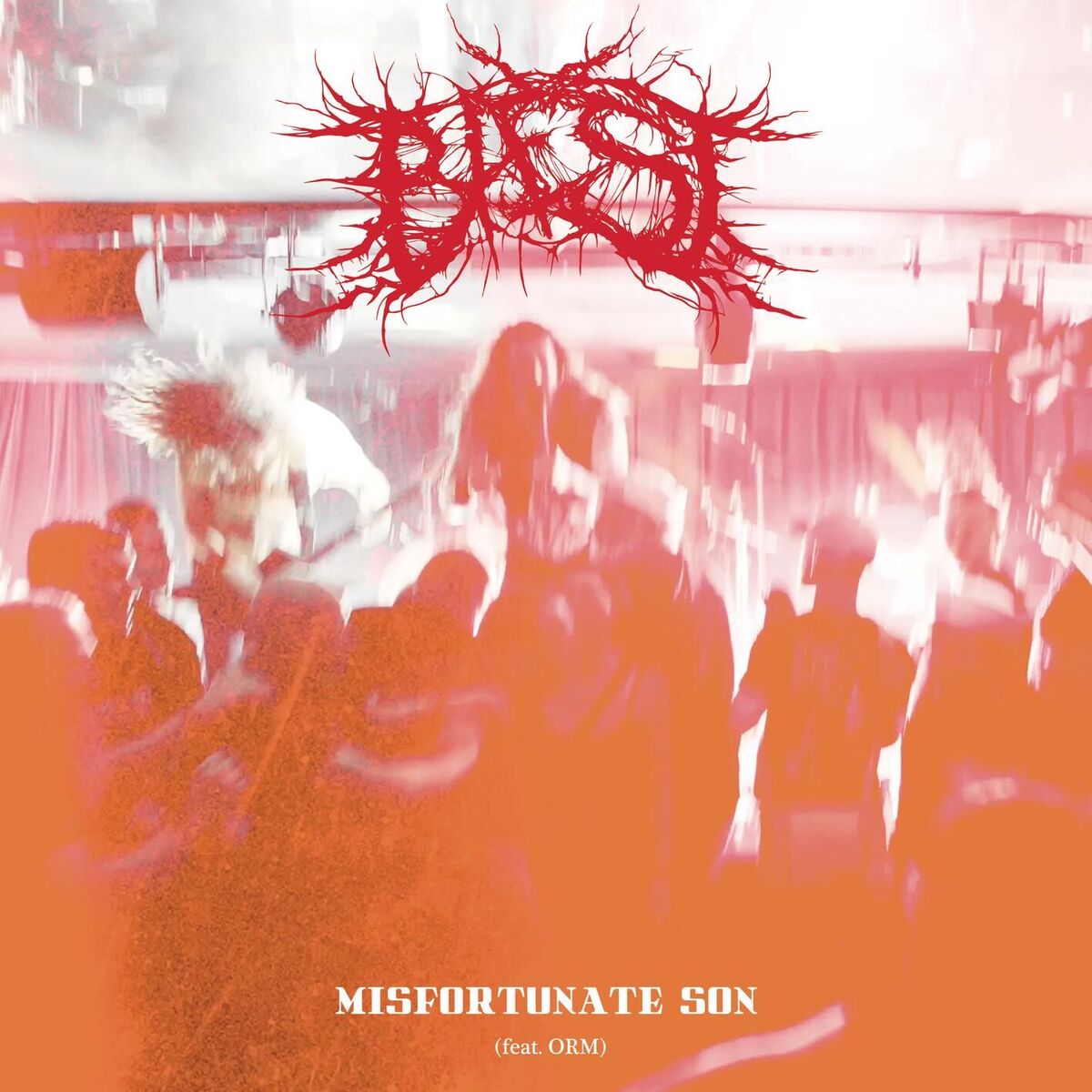 Album cover of Misfortunate Son (feat. ORM)