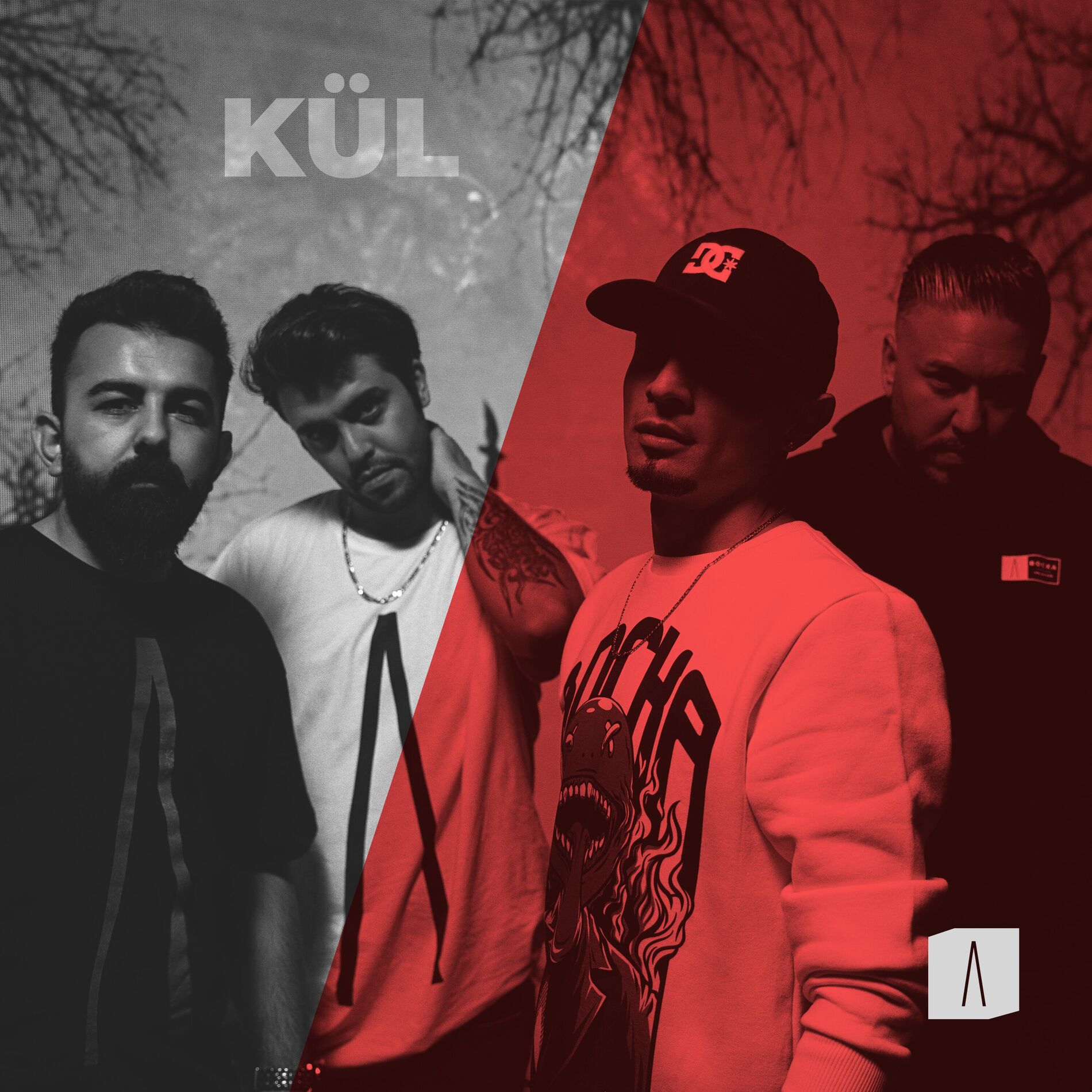 Album cover of Kül