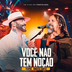 Cover of Você Não Tem Noção (Ao Vivo em Fortaleza)
