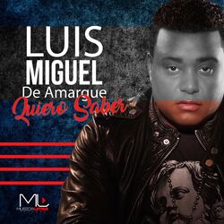 Cover of Quiero Saber