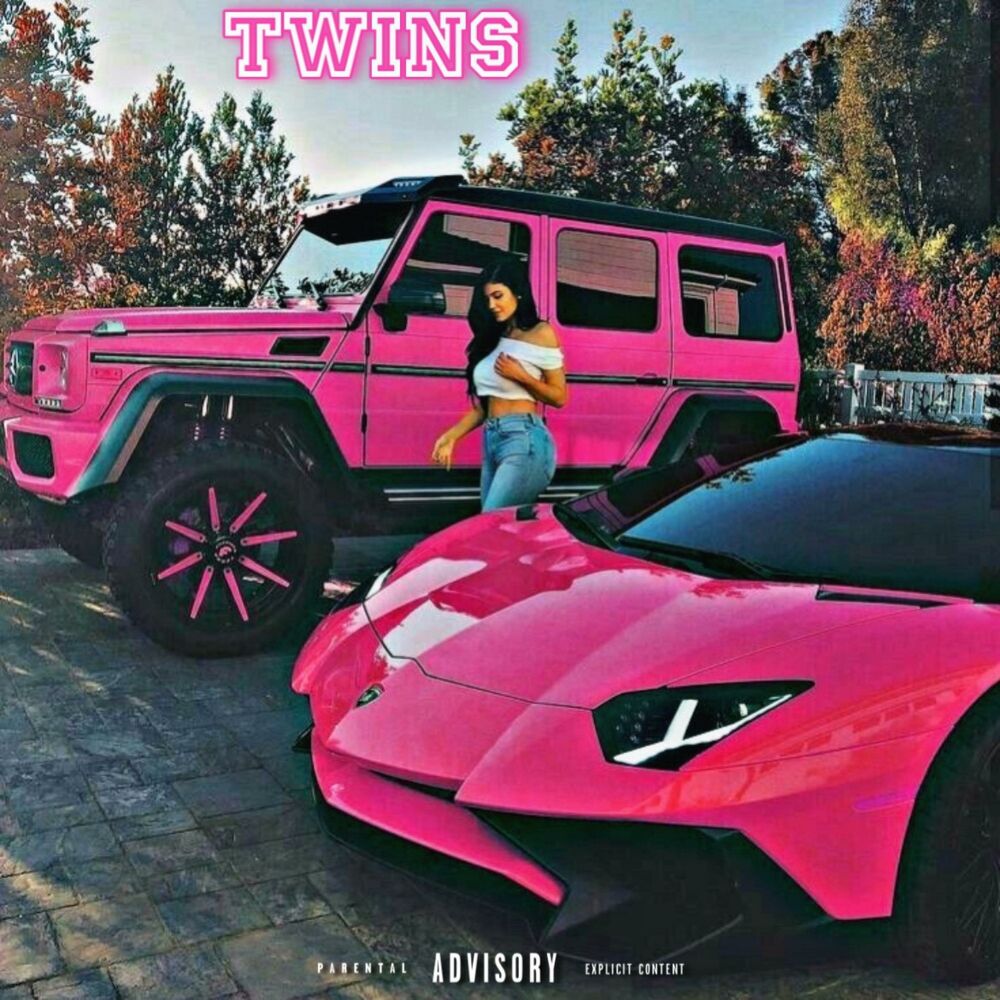 Picture of Twins