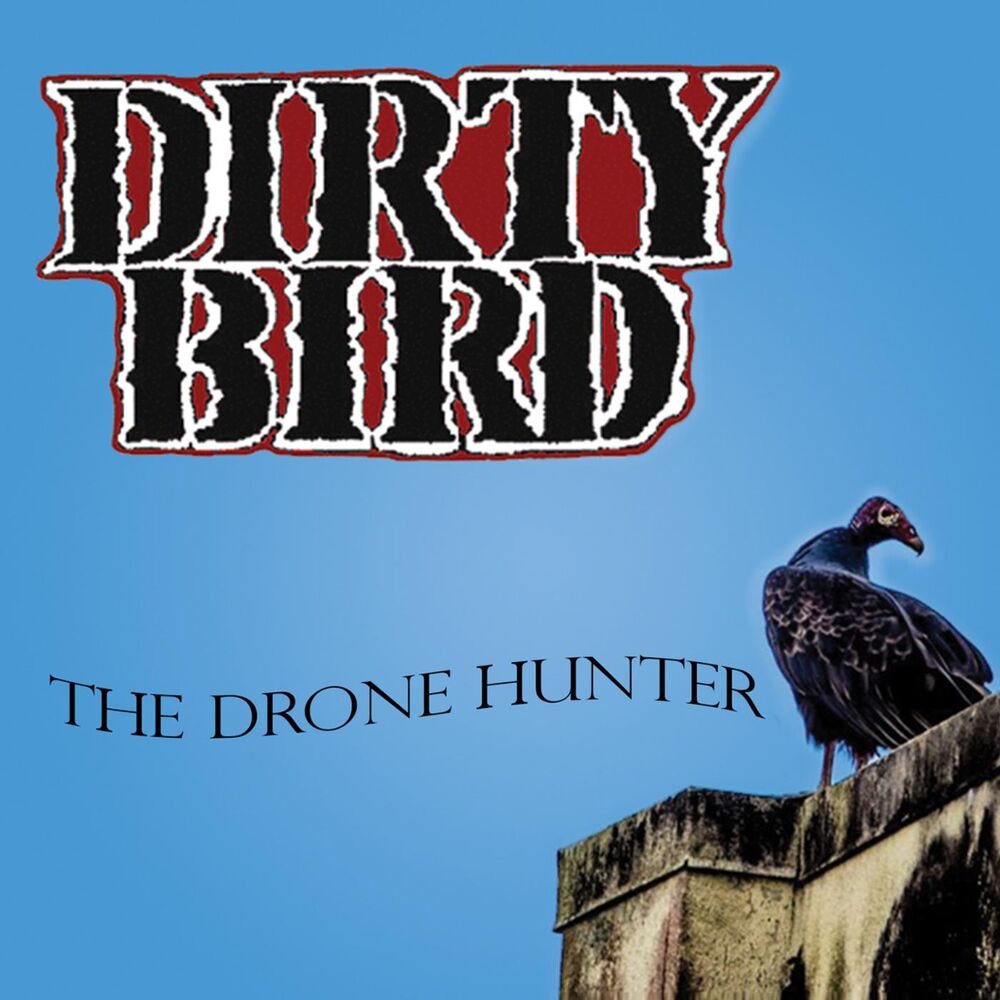 Picture of The Drone Hunter
