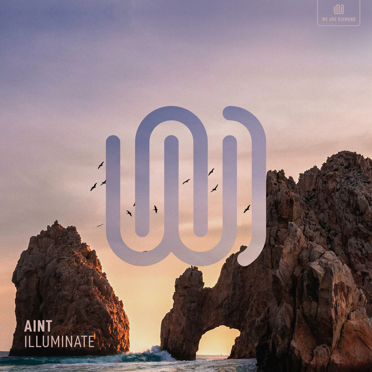 Album cover of Illuminate