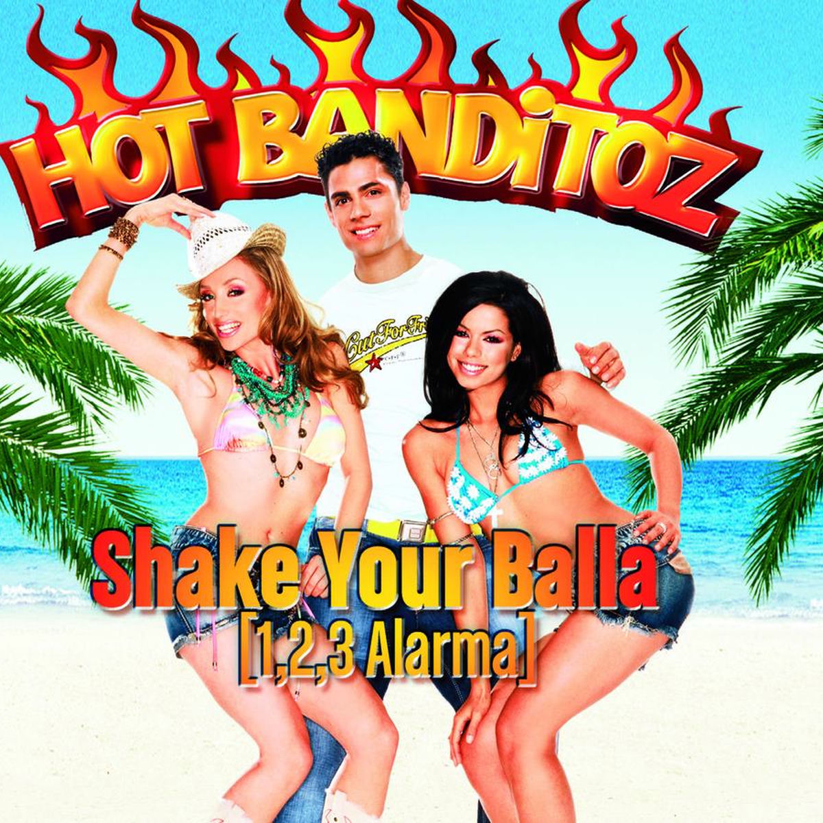 Album cover of Shake Your Balla (1,2,3 Alarma)