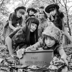 Cover of Fake Metal Jacket