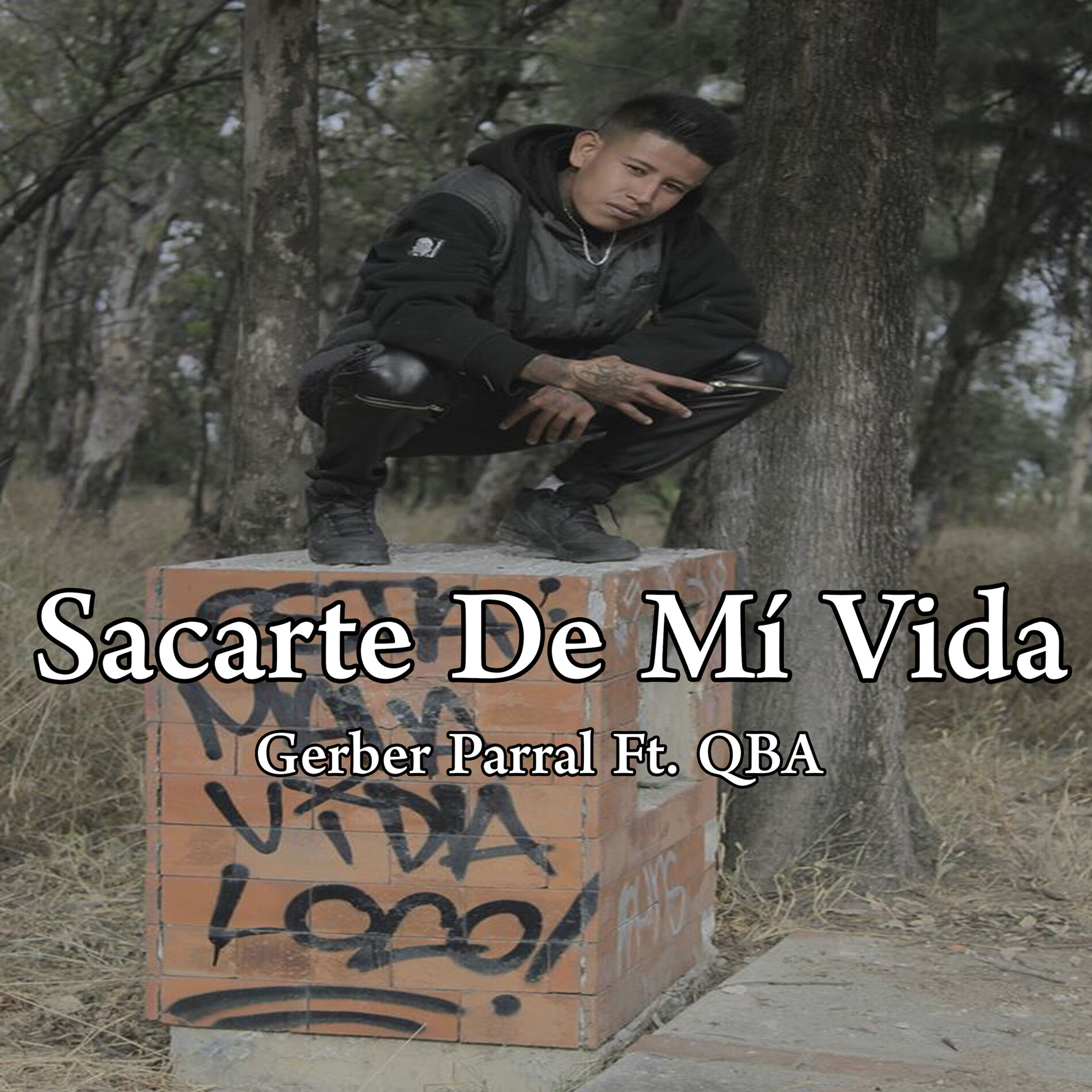 Album cover of Sacarte de Mi Vida