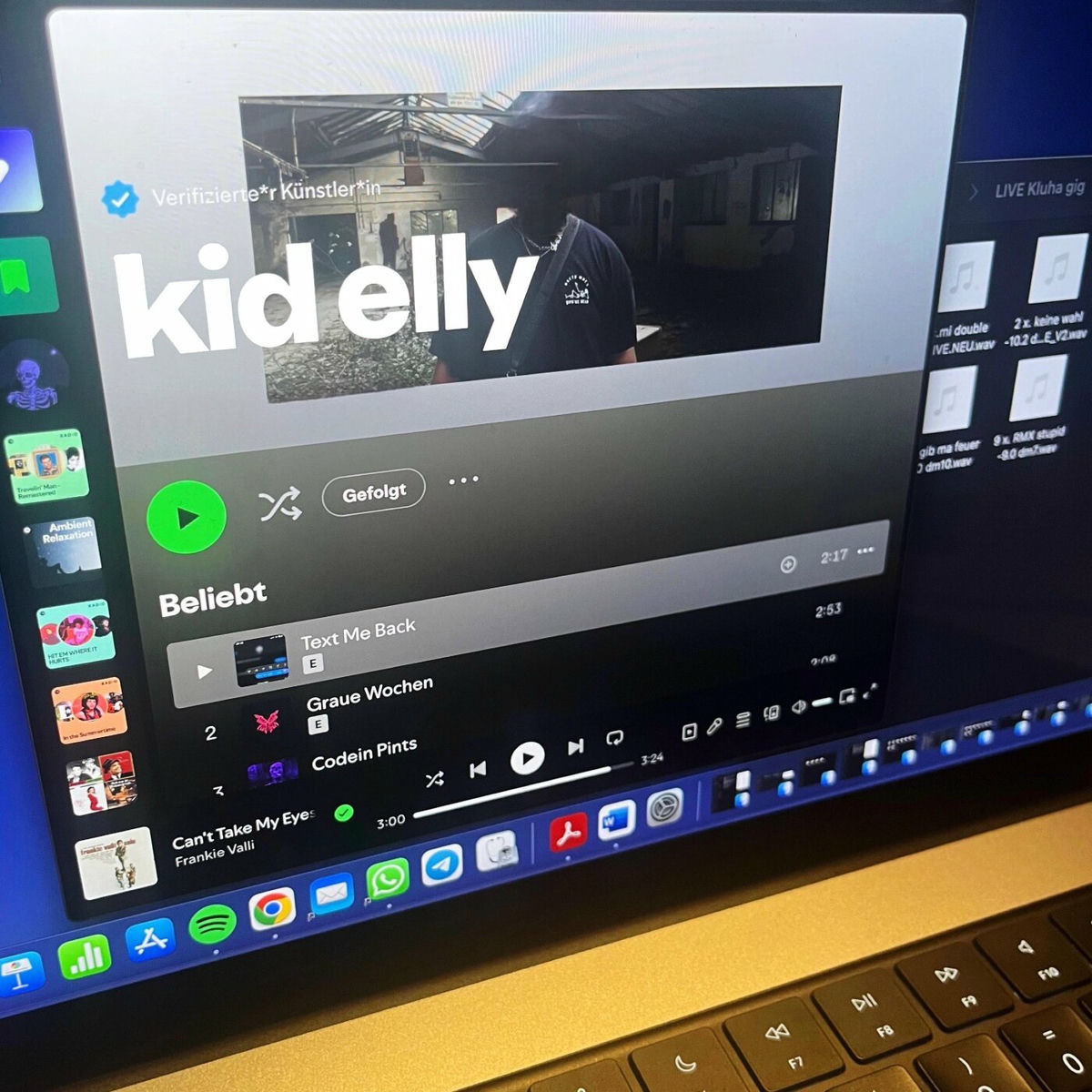 Album cover of kid elly