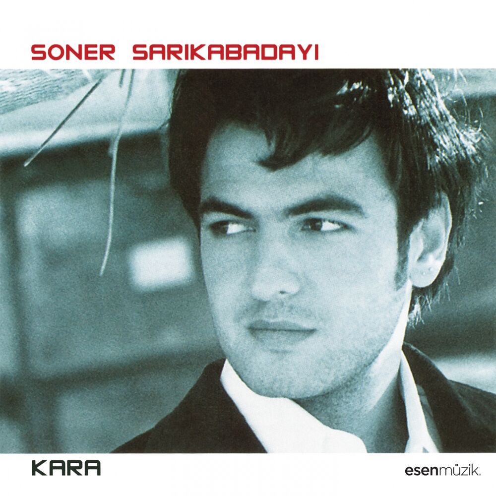Picture of Kara (Çözüm)
