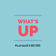 What's Up by Jake Coco album cover
