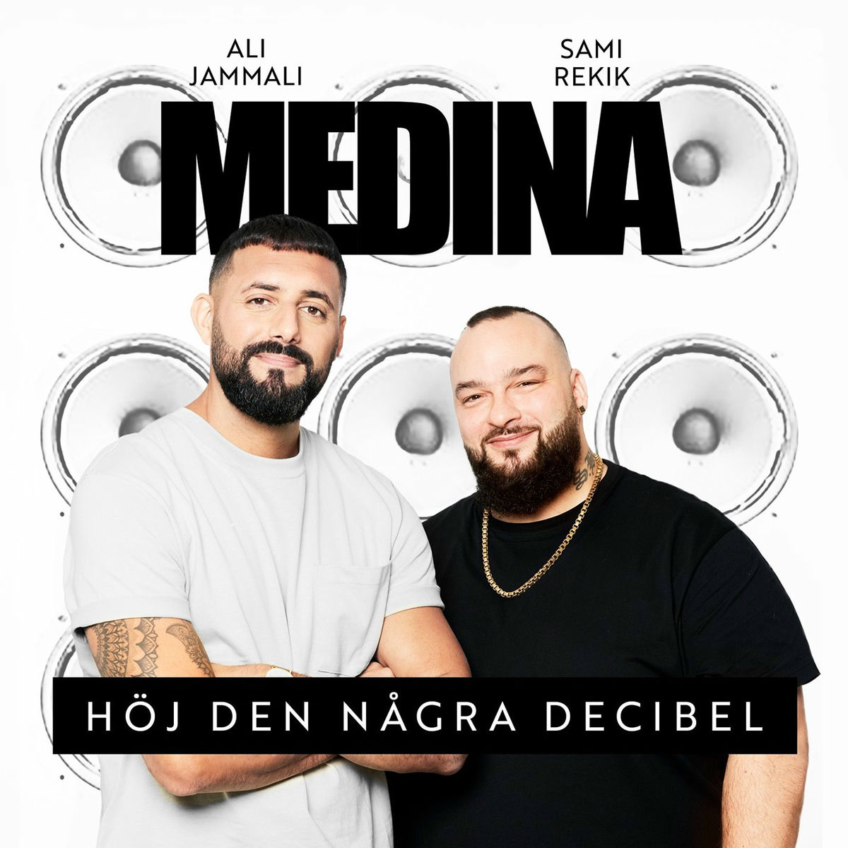 Album cover of Höj Den Några Decibel