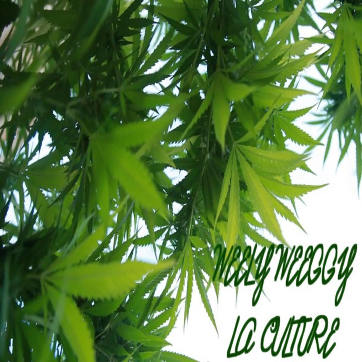 Album cover of Bob PAC