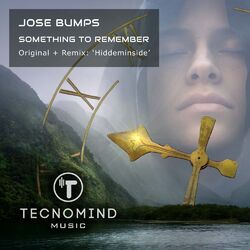 Cover of Something to Remember