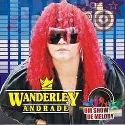 Cover of Wanderley Andrade - Um show de Melody