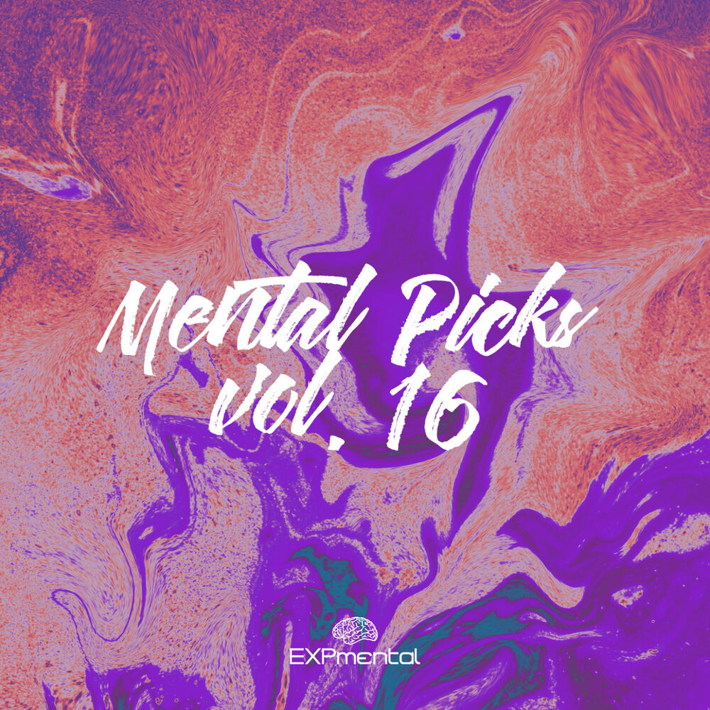 Picture of Mental Picks Vol.16