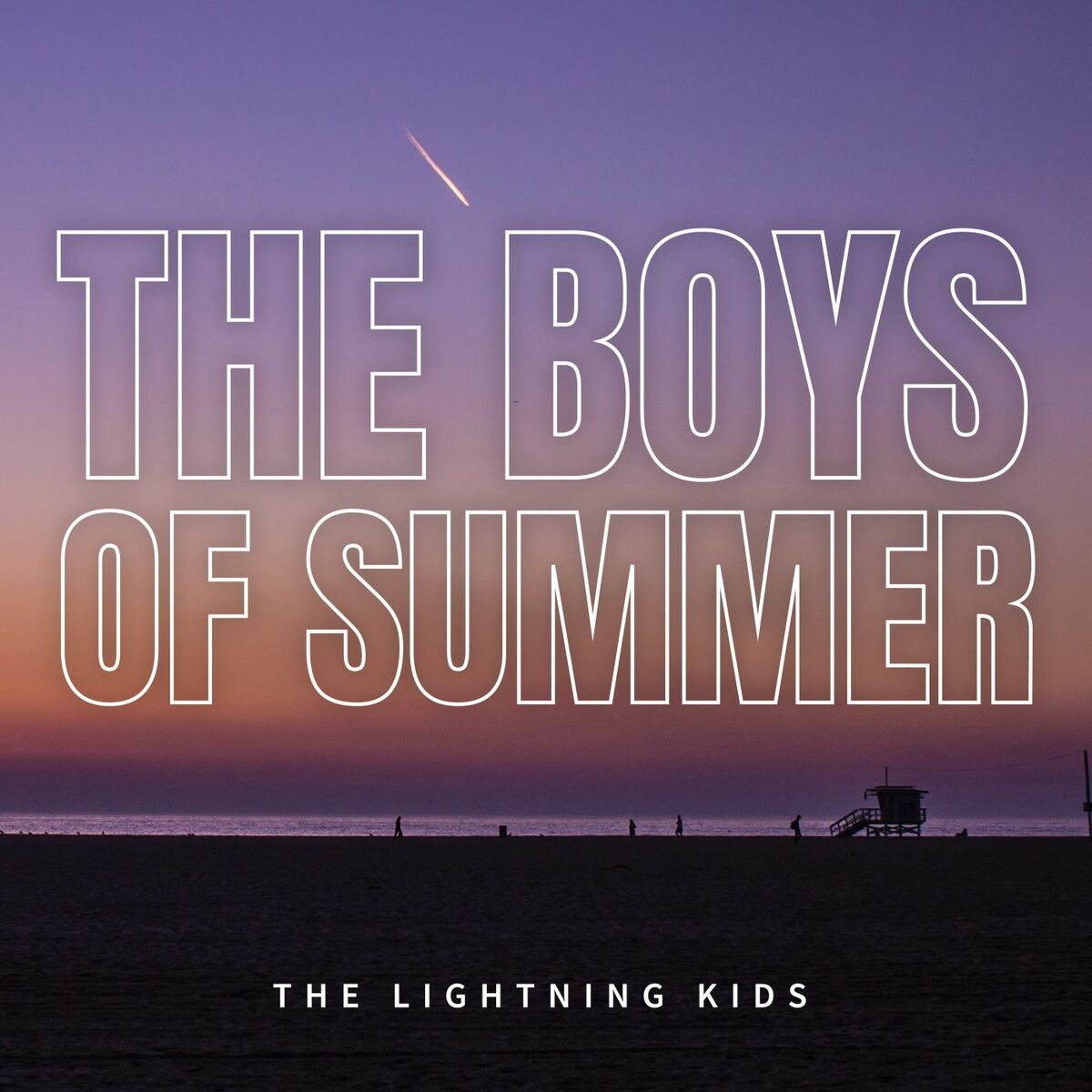 Album cover of The Boys Of Summer
