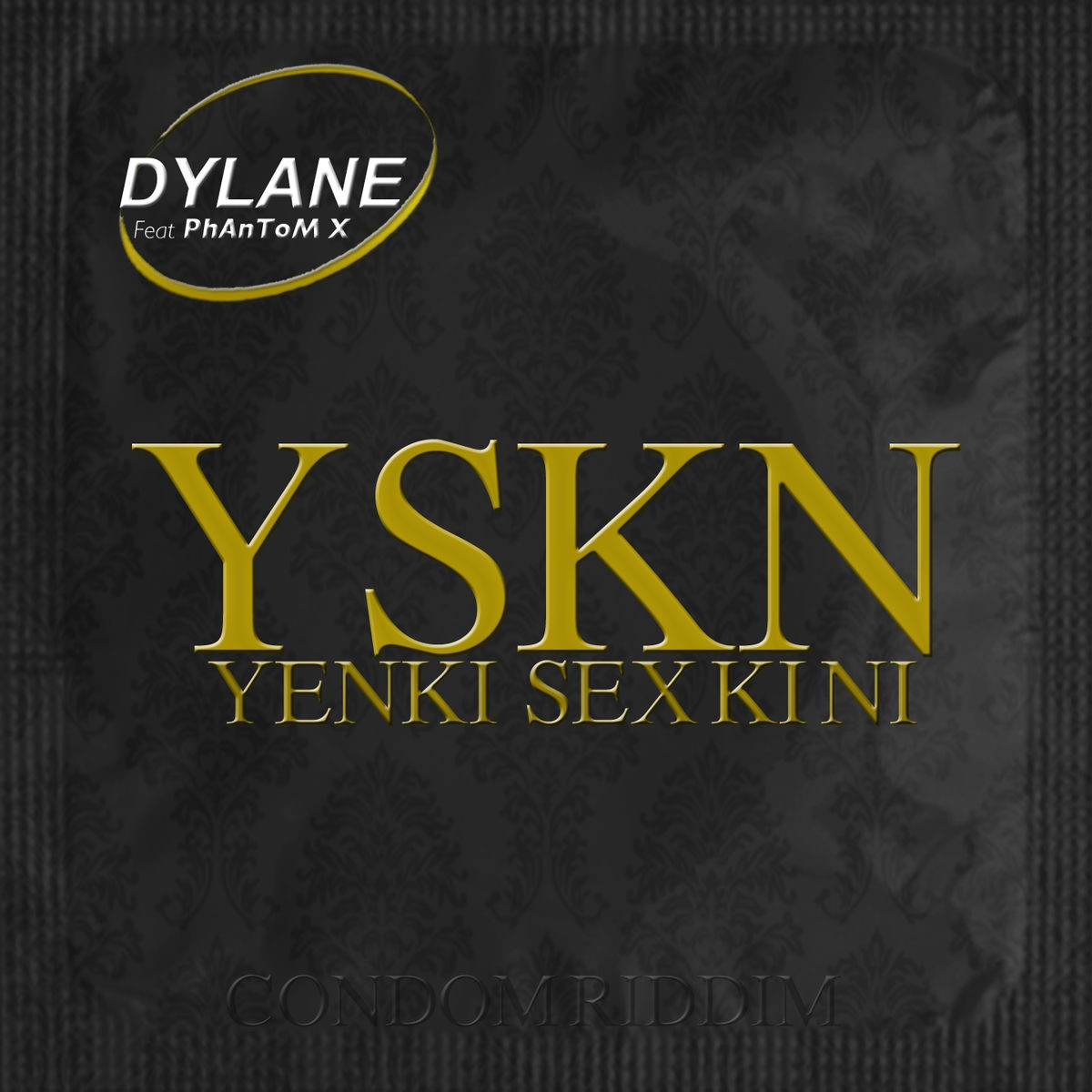 Album cover of Yenki sex ki ni (YSKN)