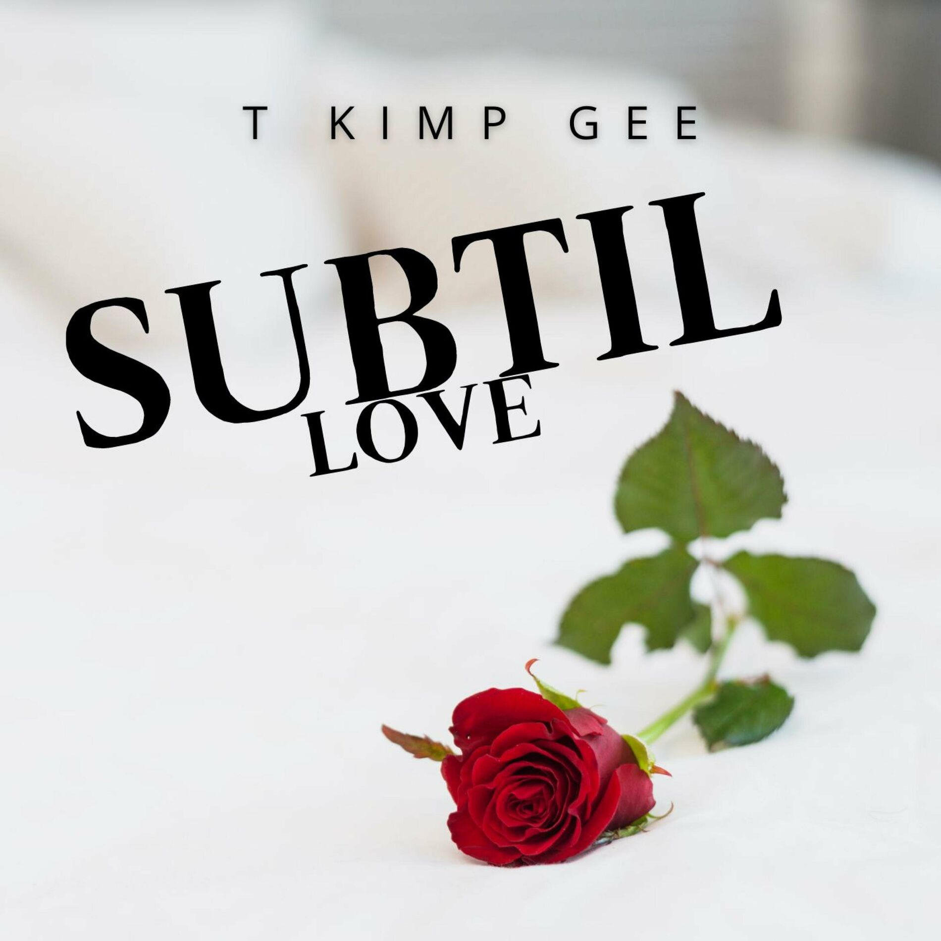 Album cover of SUBTIL LOVE