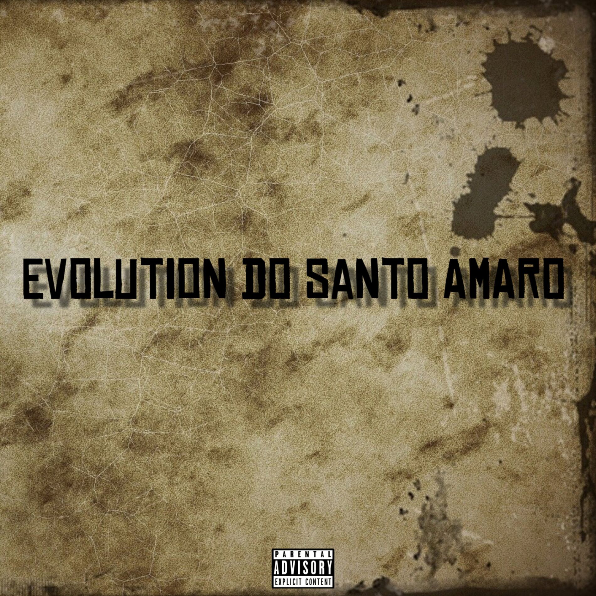 Album cover of Evolution do Santo Amaro