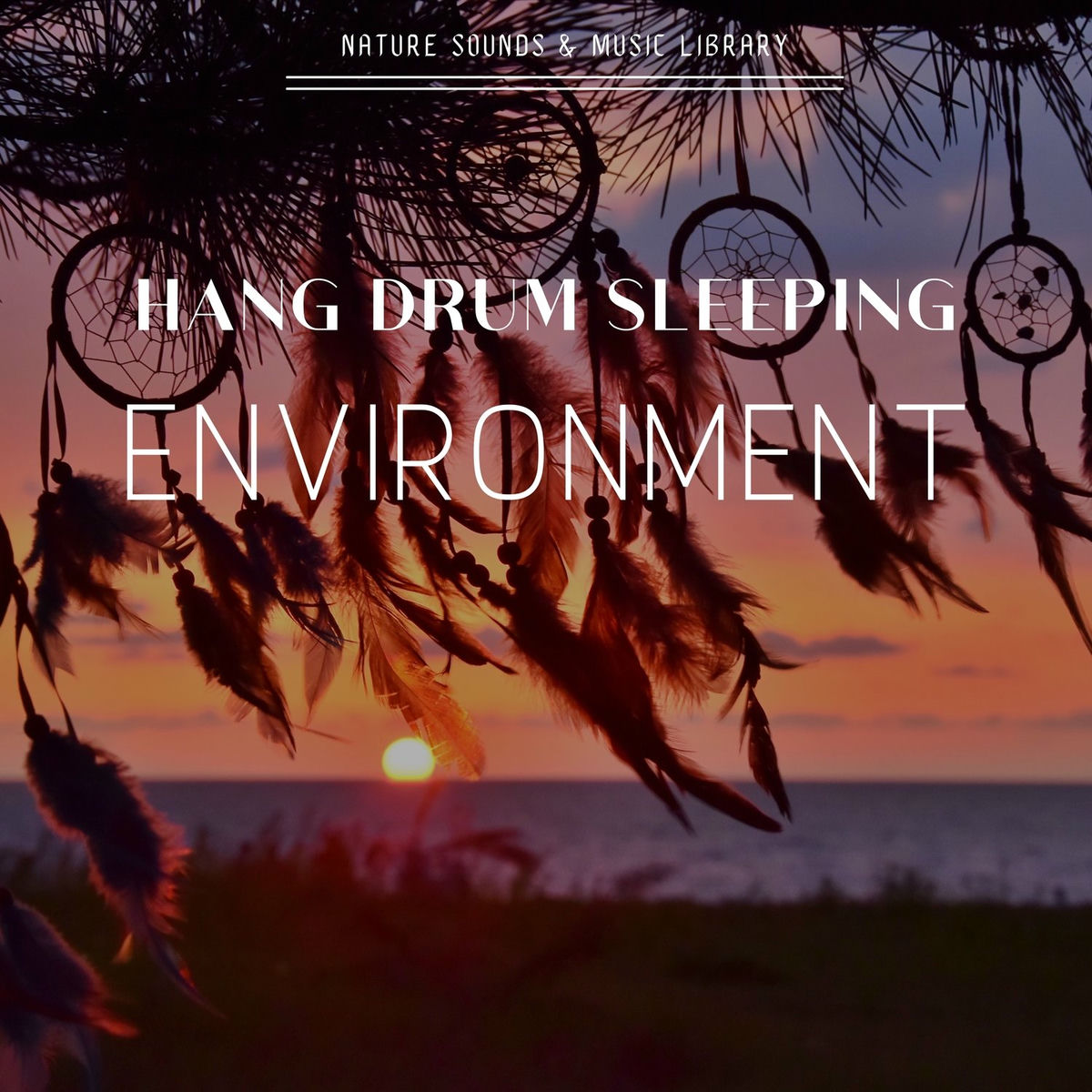 Album cover of Hang Drum Sleeping Environment