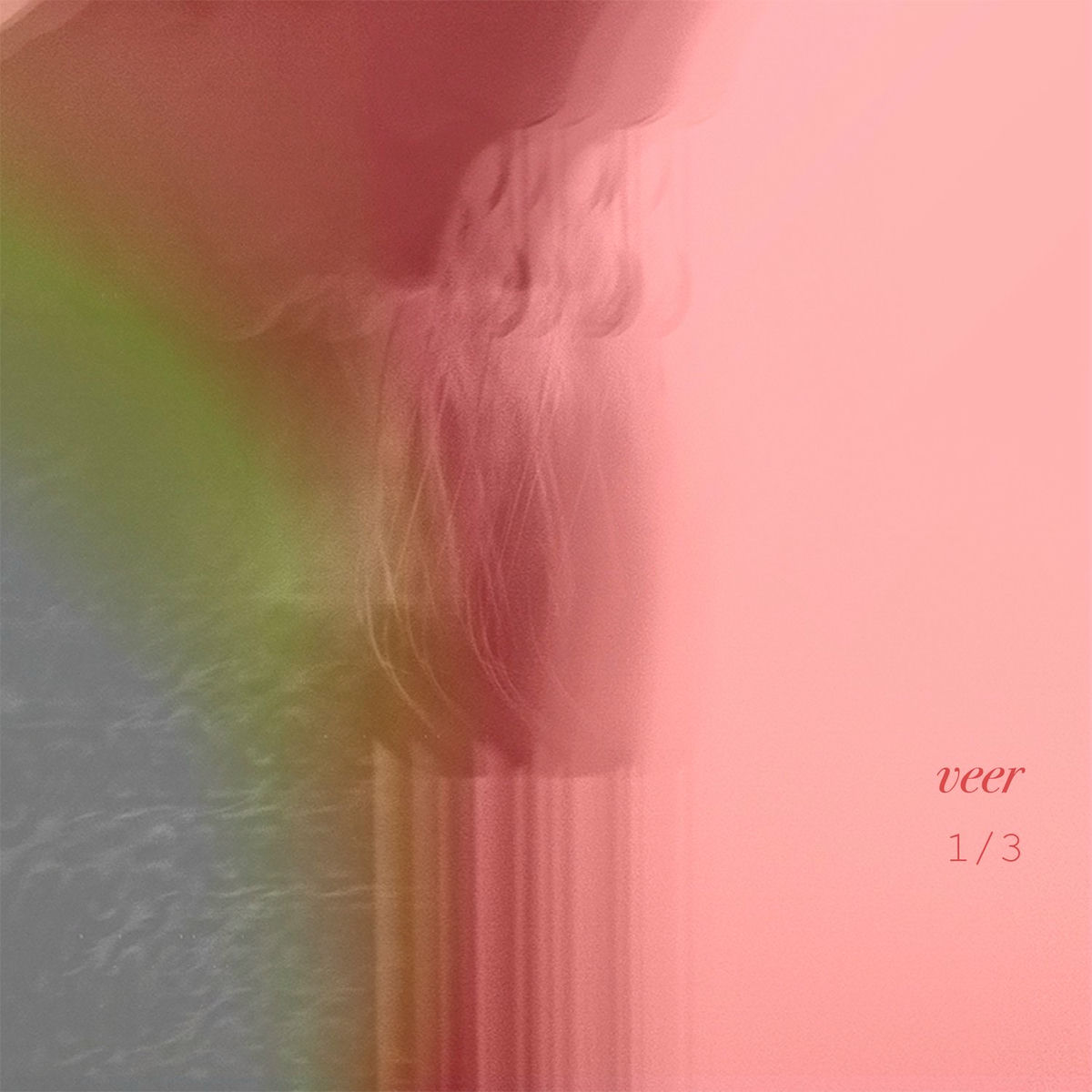 Album cover of Veer
