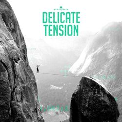 Cover of Delicate Tension