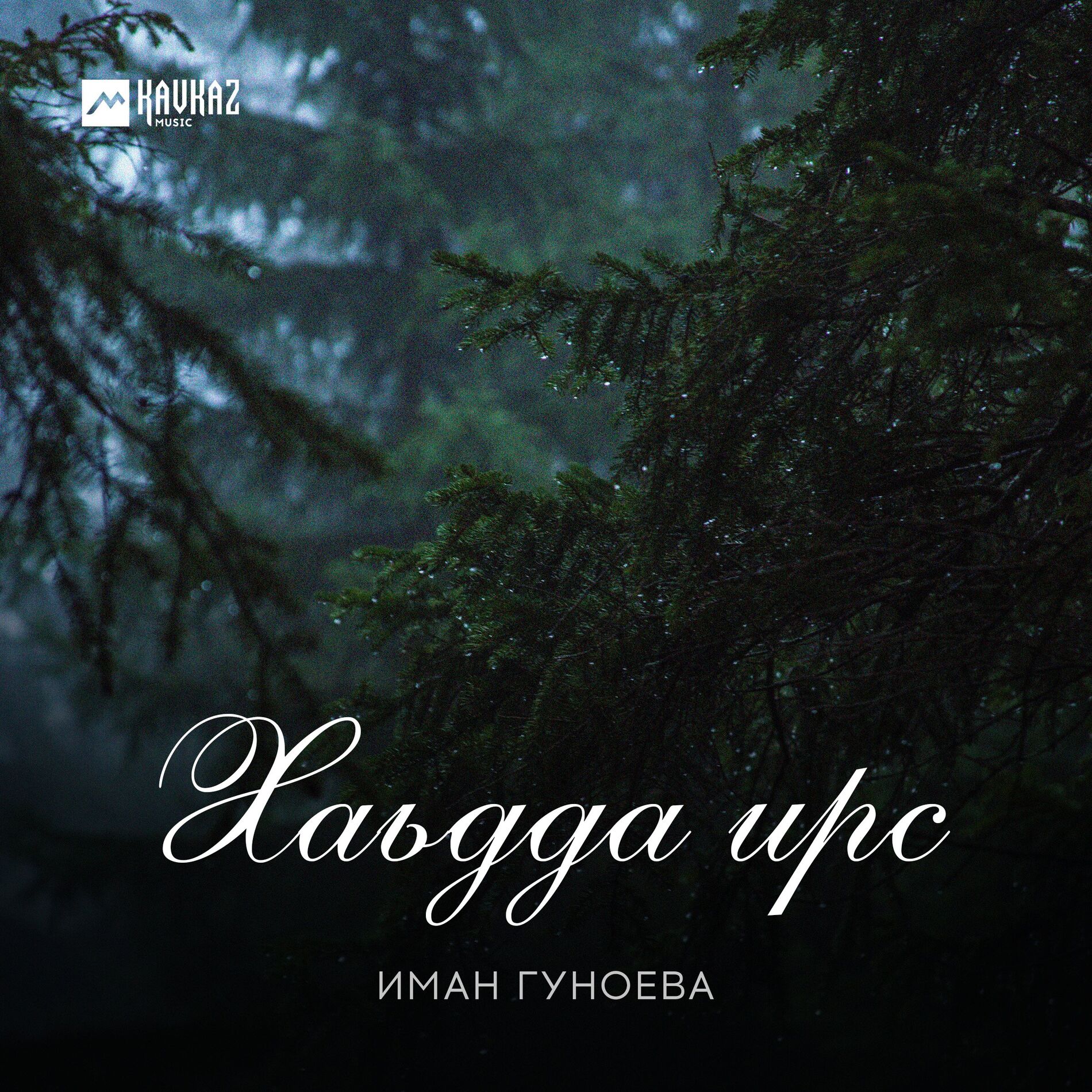 Album cover of Хаьдда ирс