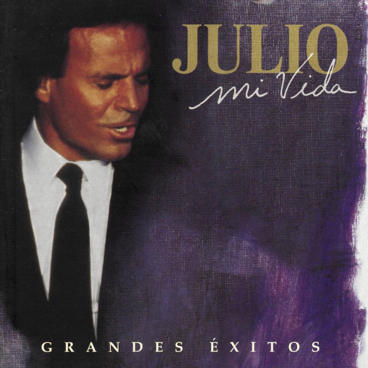 Album picture of Mi Vida: Grandes Exitos