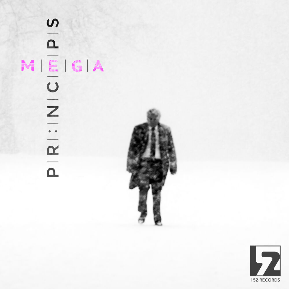 Picture of MEGA