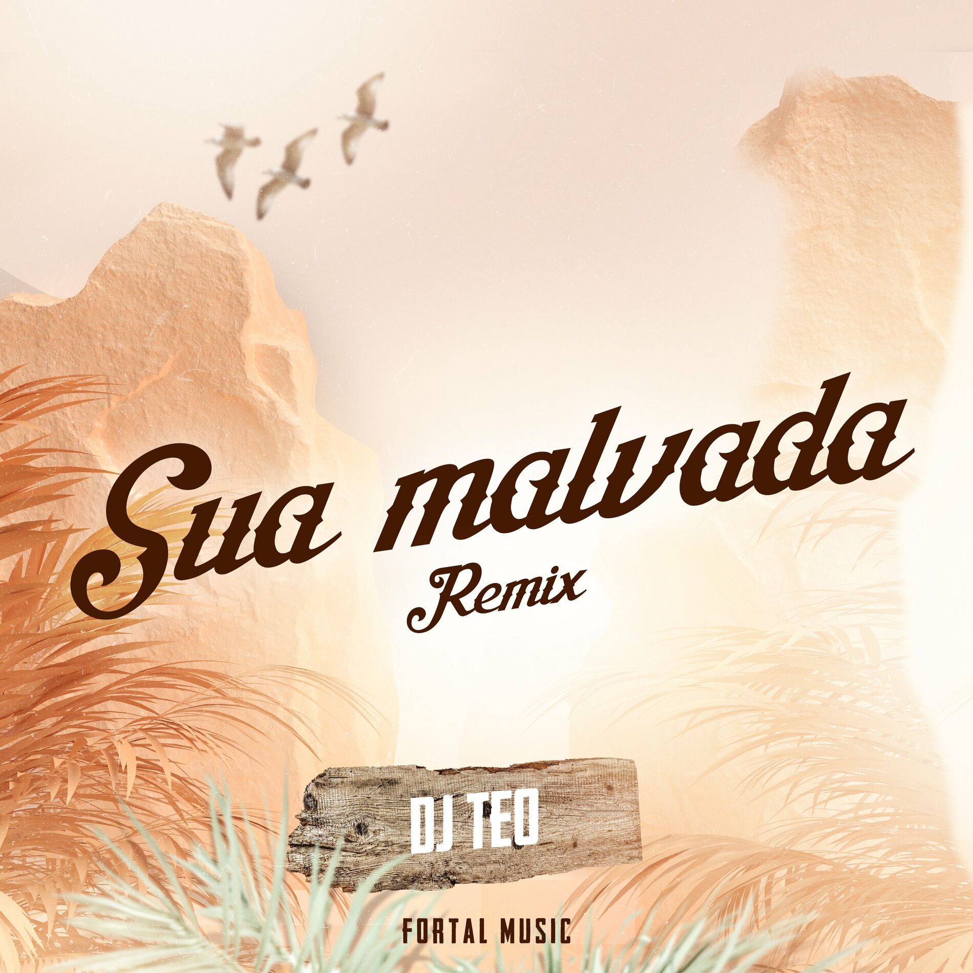 Album cover of Sua Malvada (Remix)