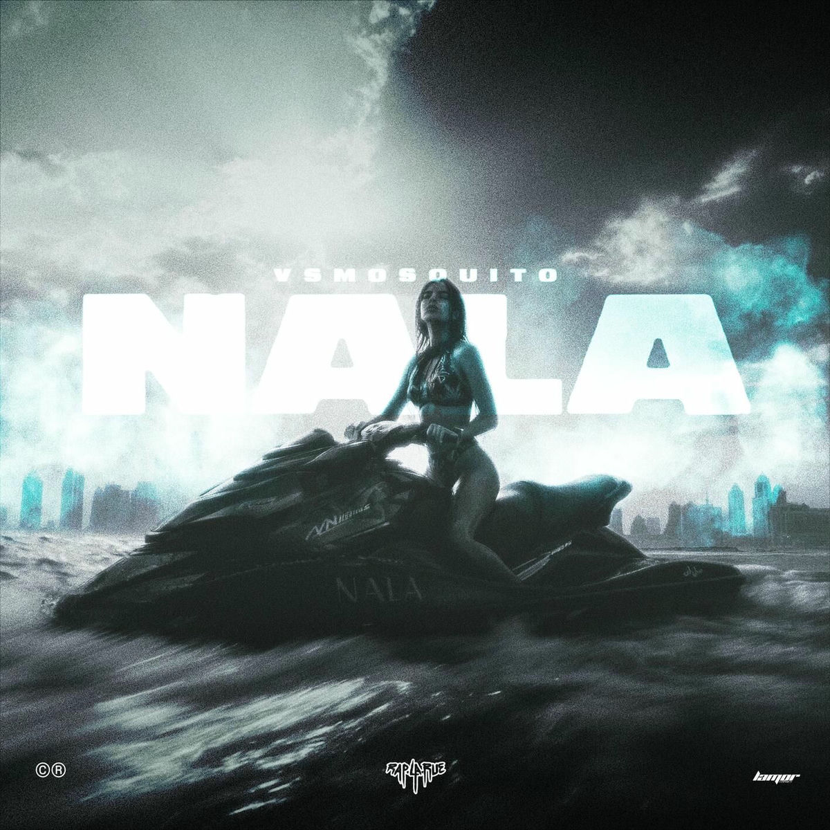 Album cover of NALA