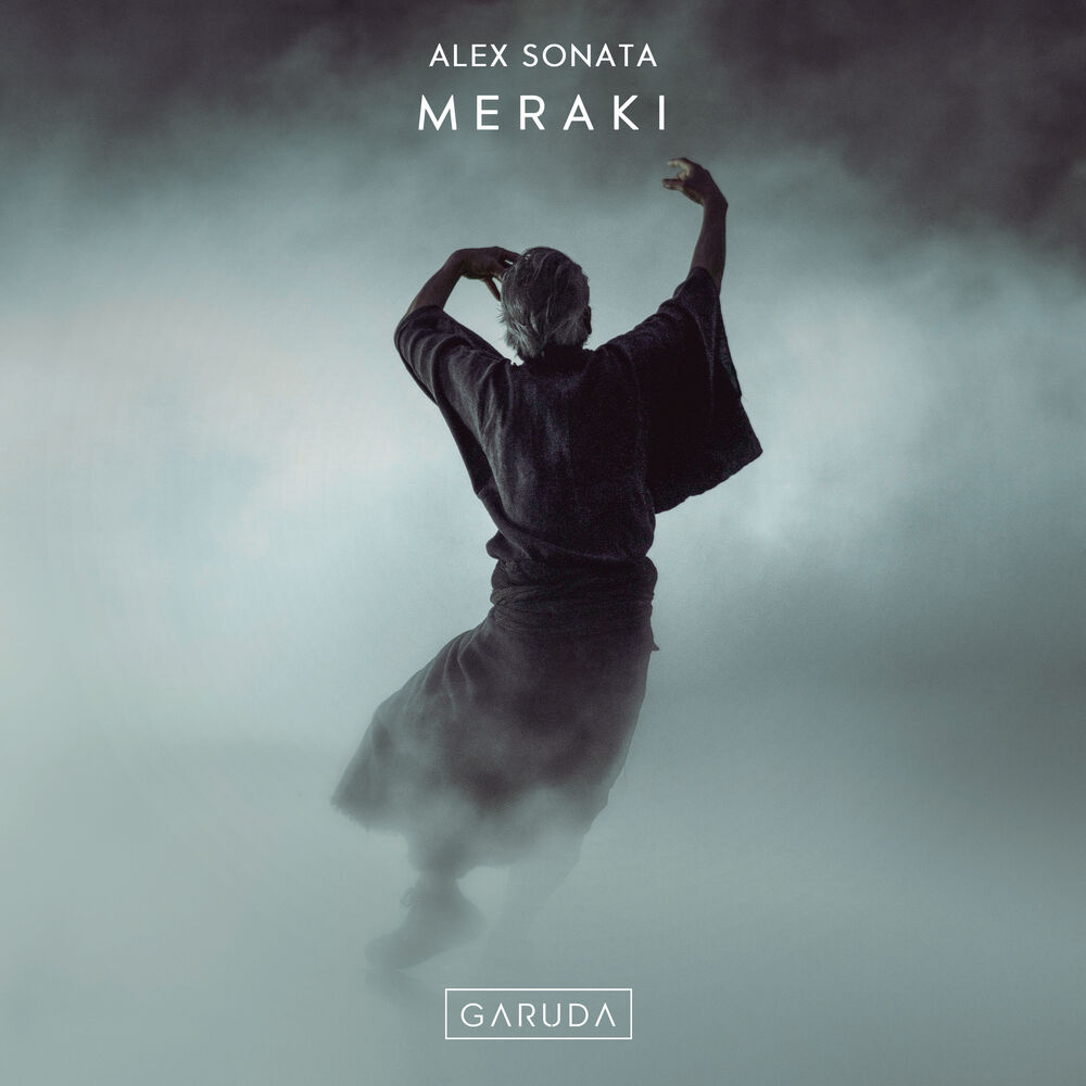 Picture of Meraki