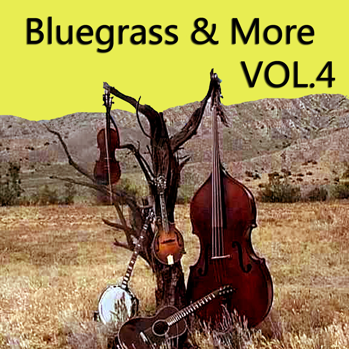 Album cover of Bluegrass & More, Vol. 4