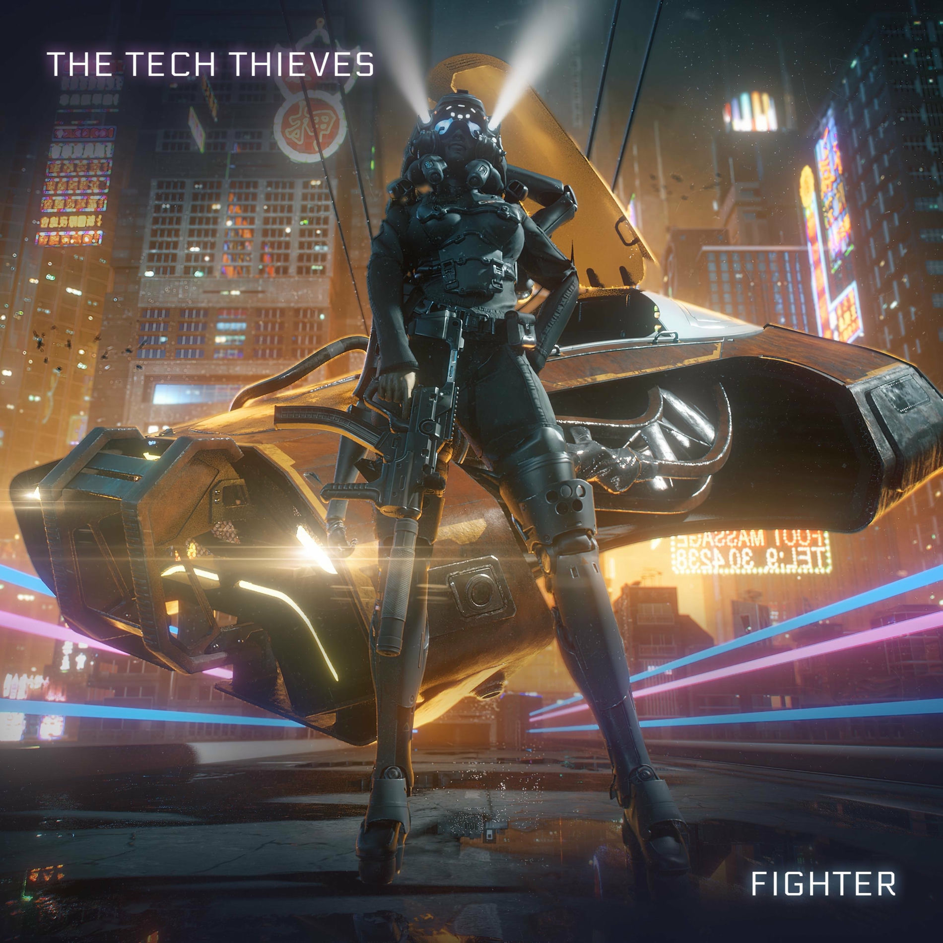 Album cover of Fighter