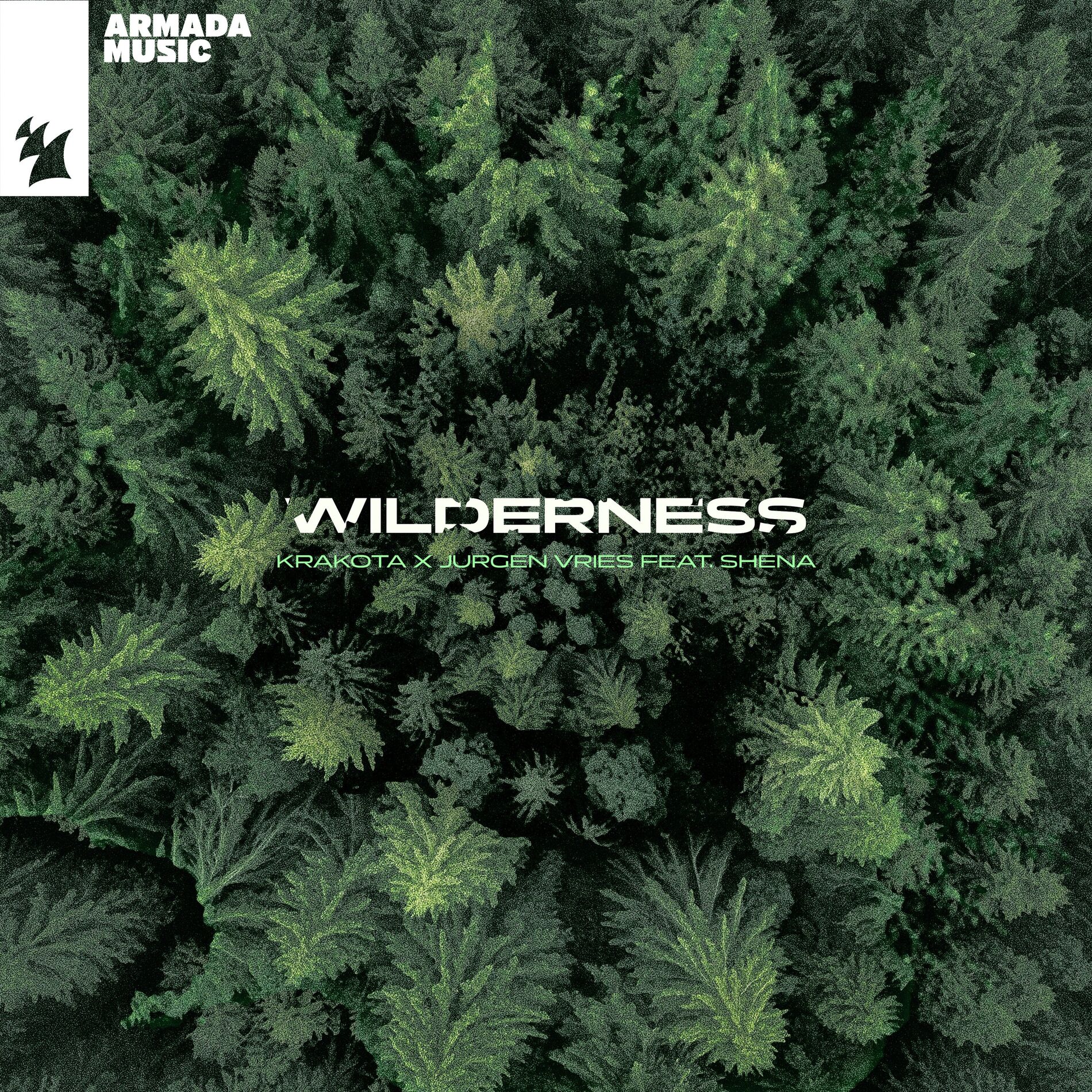 Album cover of Wilderness