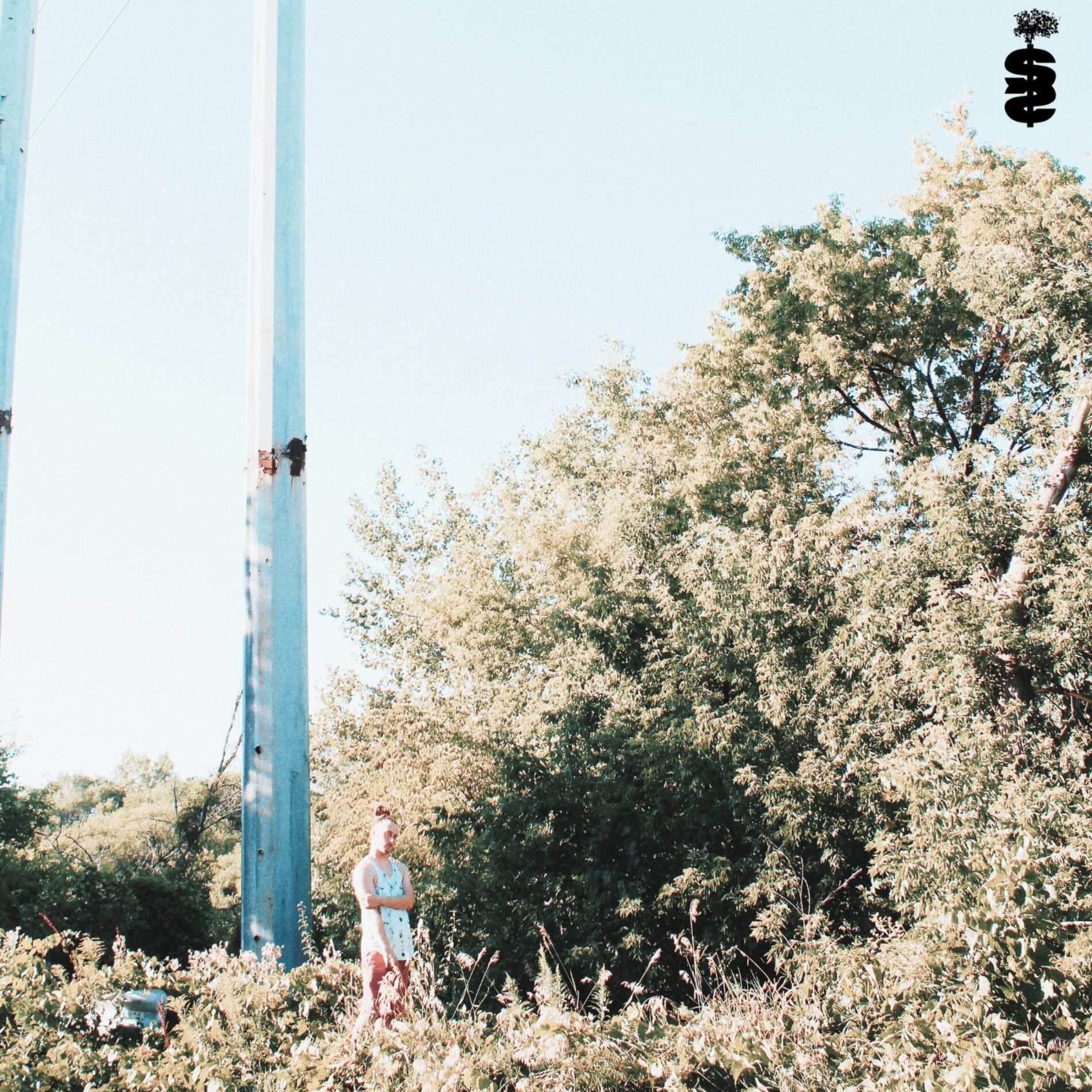 Album cover of SOUTH SIDE SAPLING 2