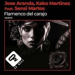 Cover of Flamenco del carajo