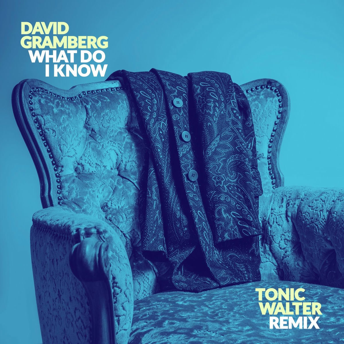Album cover of What Do I Know