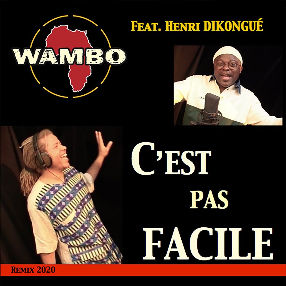 Album cover of C'est pas facile (Remix 2020)