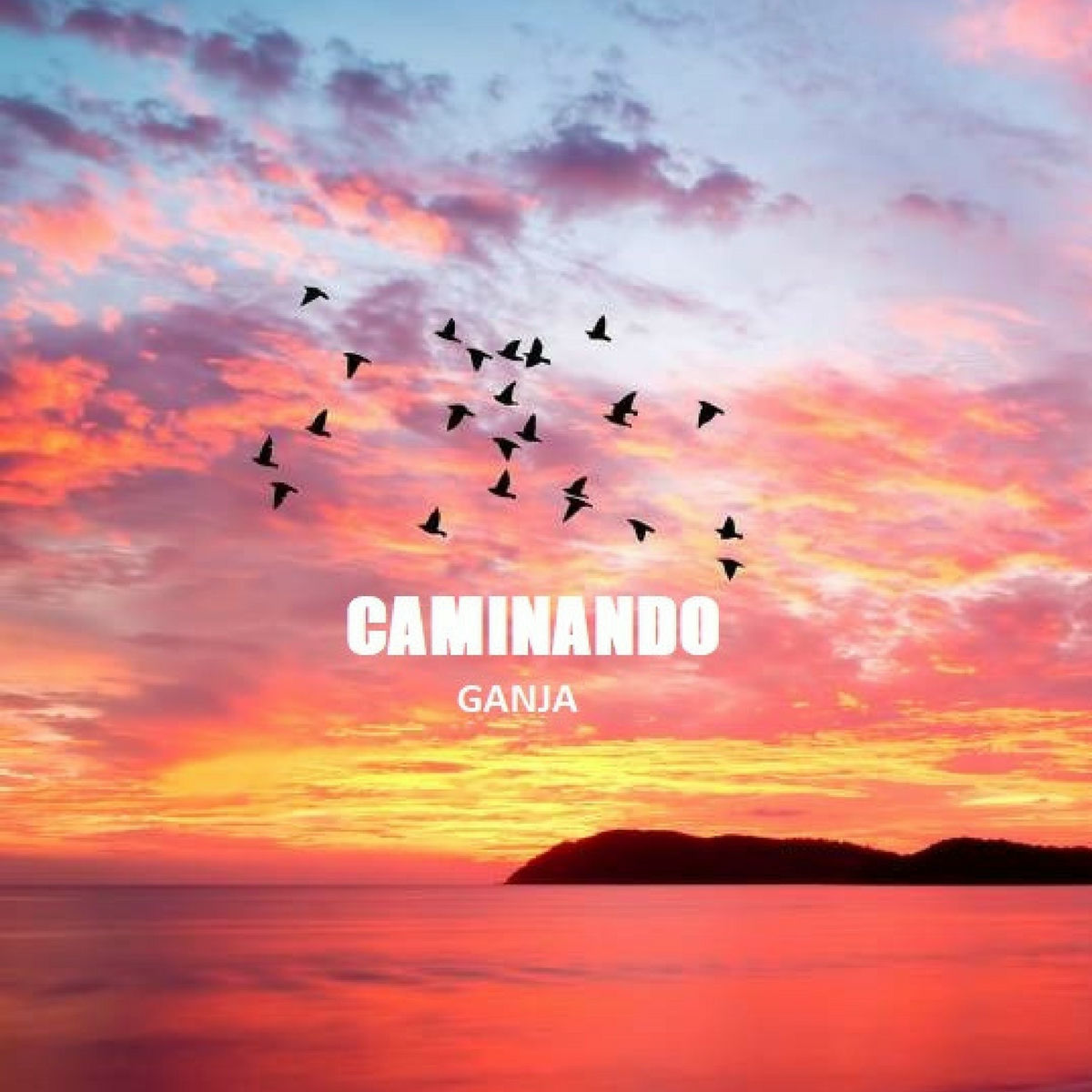 Album cover of Caminando