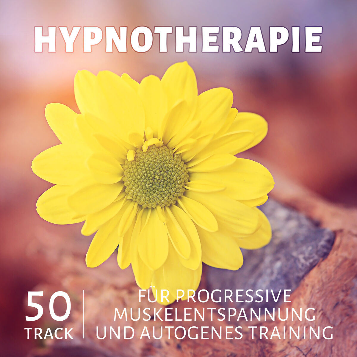 Album cover of Hypnotherapie: 50 track für progressive Muskelentspannung und Autogenes Training, Meditationsmusik mit Meeresrauschen und Entspann