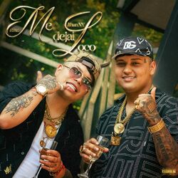 Cover of Me Dejai Loco