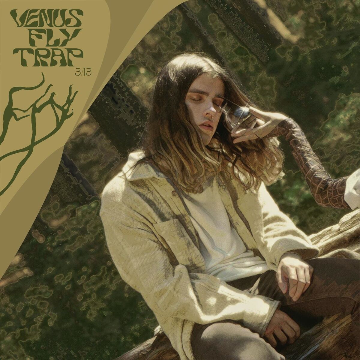 Album cover of venus fly trap