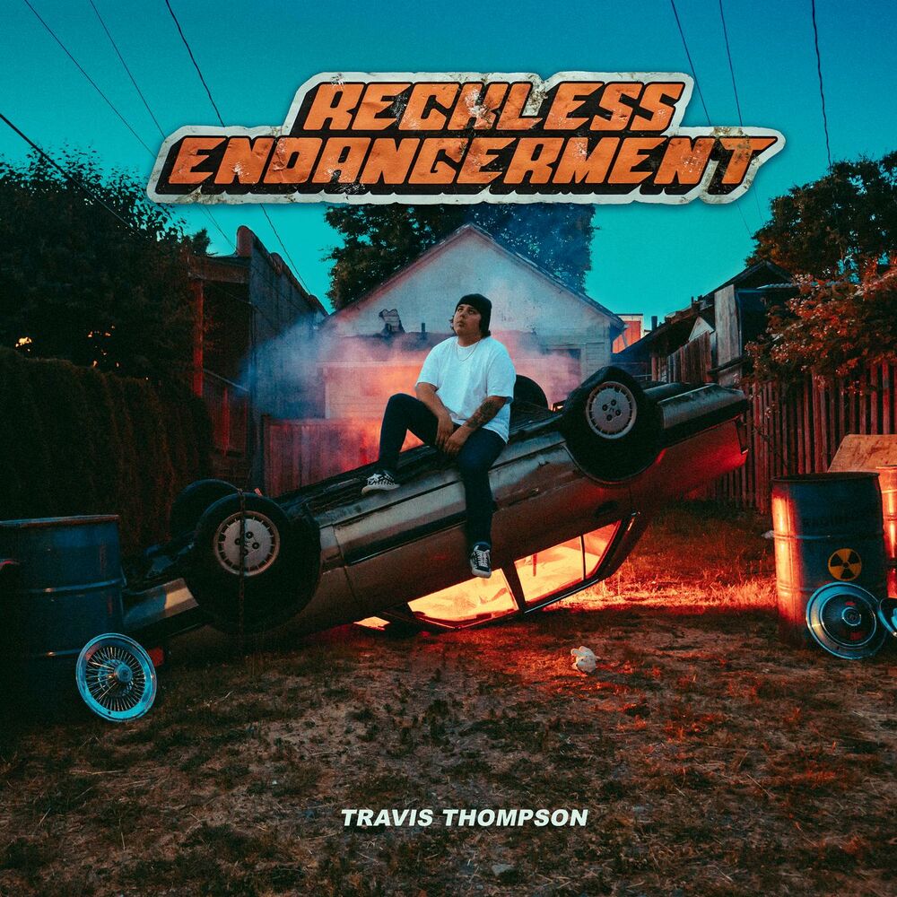 Picture of Reckless Endangerment
