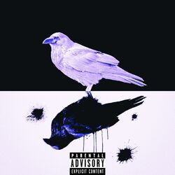 Cover of NO FEELINGS
