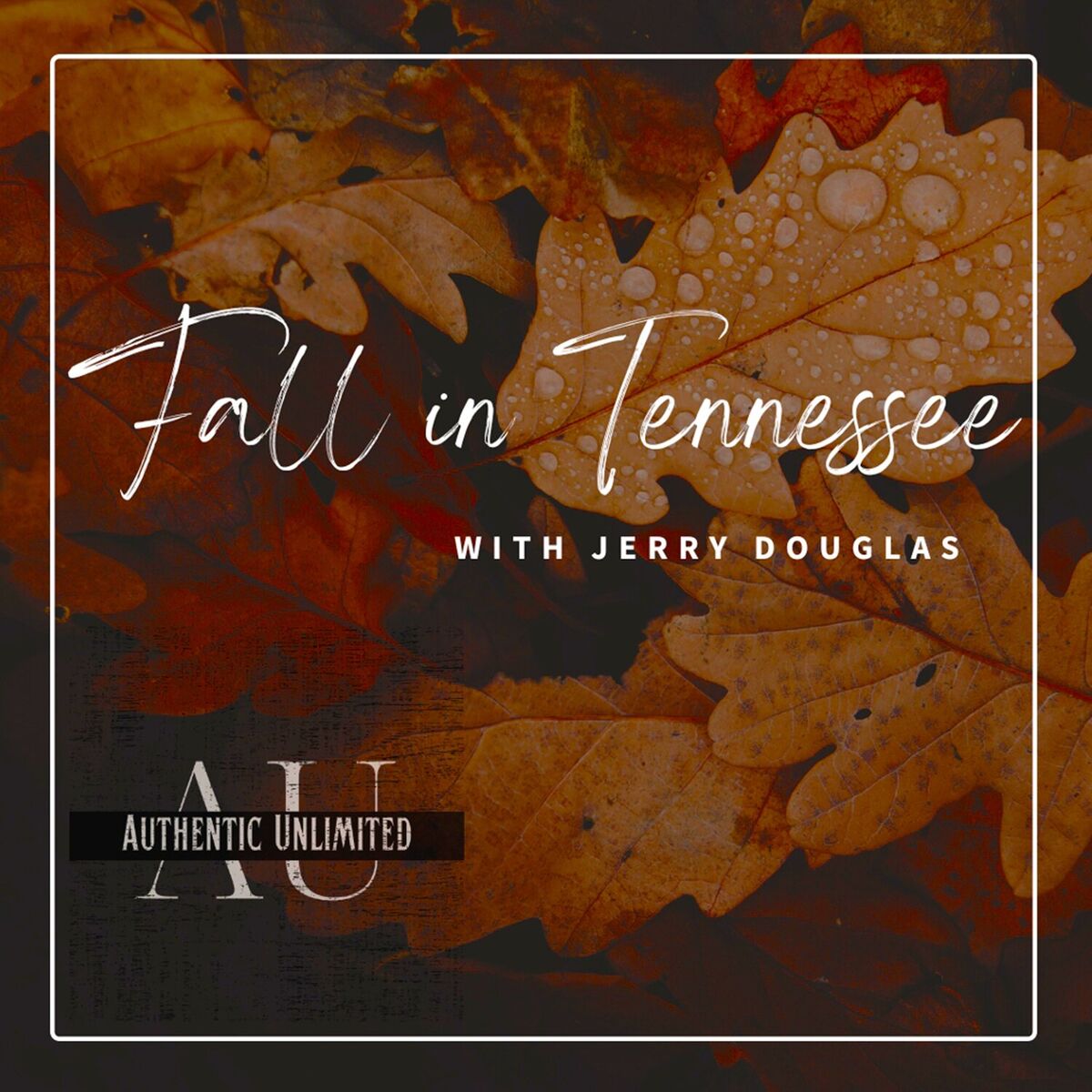 Album cover of Fall In Tennessee
